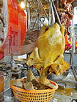 آمارها نشان می دهد تا کنون بیش از 50 آسیایی به دنبال ابتلا به آنفلوآنزای مرغی جان خود را از دست داده اند.