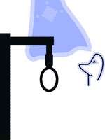 2 سوداگر مرگ در قاین اعدام شدند 