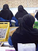 تشکیل تعاونی راهی برای حل مشکل اشتغال زنان 