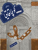 چهار ازدواج و يك تشييع جنازه در شبكه ويديويي 