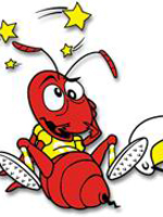 مورچه‏ها را بازگردانید