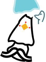 معمای بزرگ