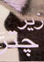 آلبوم زیر چتر که شامل گزیده اشعار هیوا مسیح است با دکلمه احمدرضا احمدی و آهنگسازی آلبرت آراکلیان روانه بازار شد.